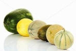 Kürbis-Melonen-Obst
