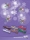 Szaloncukor * Weihnachts-Pralinen * Milka - Mischung - 255g