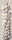 Original Ungarischer Knoblauch - frisch - gebündelt -