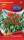 Topf Paprika * SCHARF * Rot * 20 Samen * Ungarn *