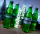 TRAUBISODA ZERO - 0,5 Liter - PET Flasche